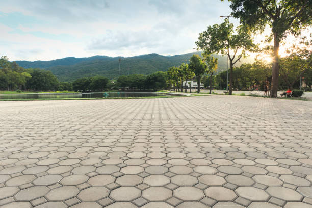 Best Concrete Paver Driveway  in Kingston, NJ